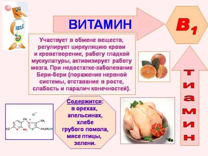 비타민 B1의 특성